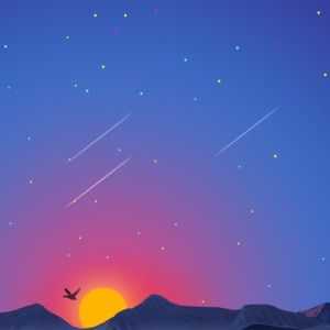 Meet your Posher, Shen